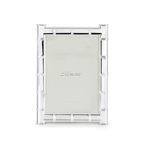 Silver Bamboo design photo frame